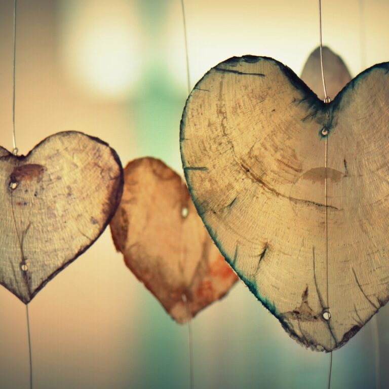 heart-700141_1920