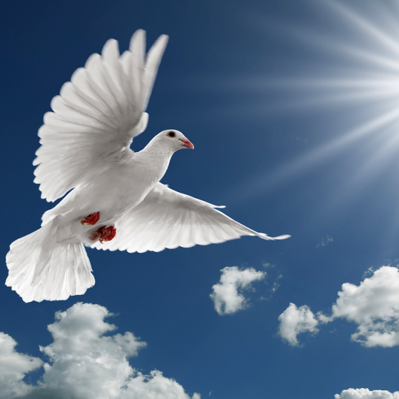 holy-spirit