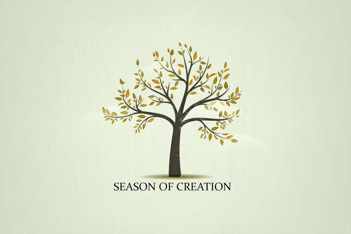 seancreation