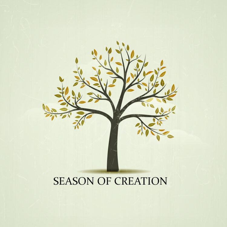 seancreation