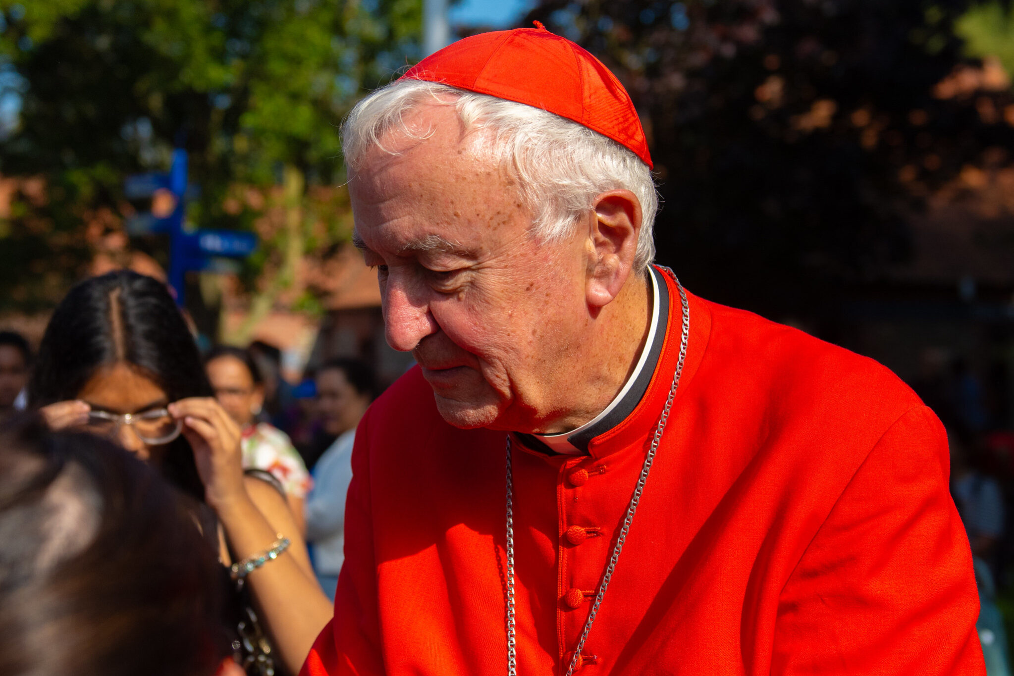 Cardinal Vincent