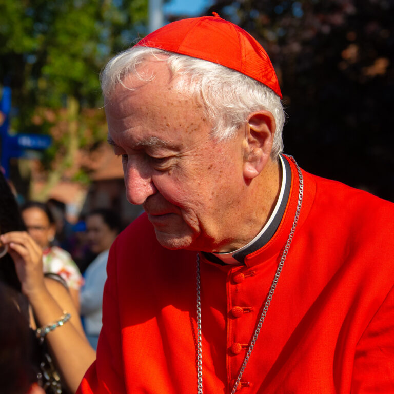 Cardinal Vincent
